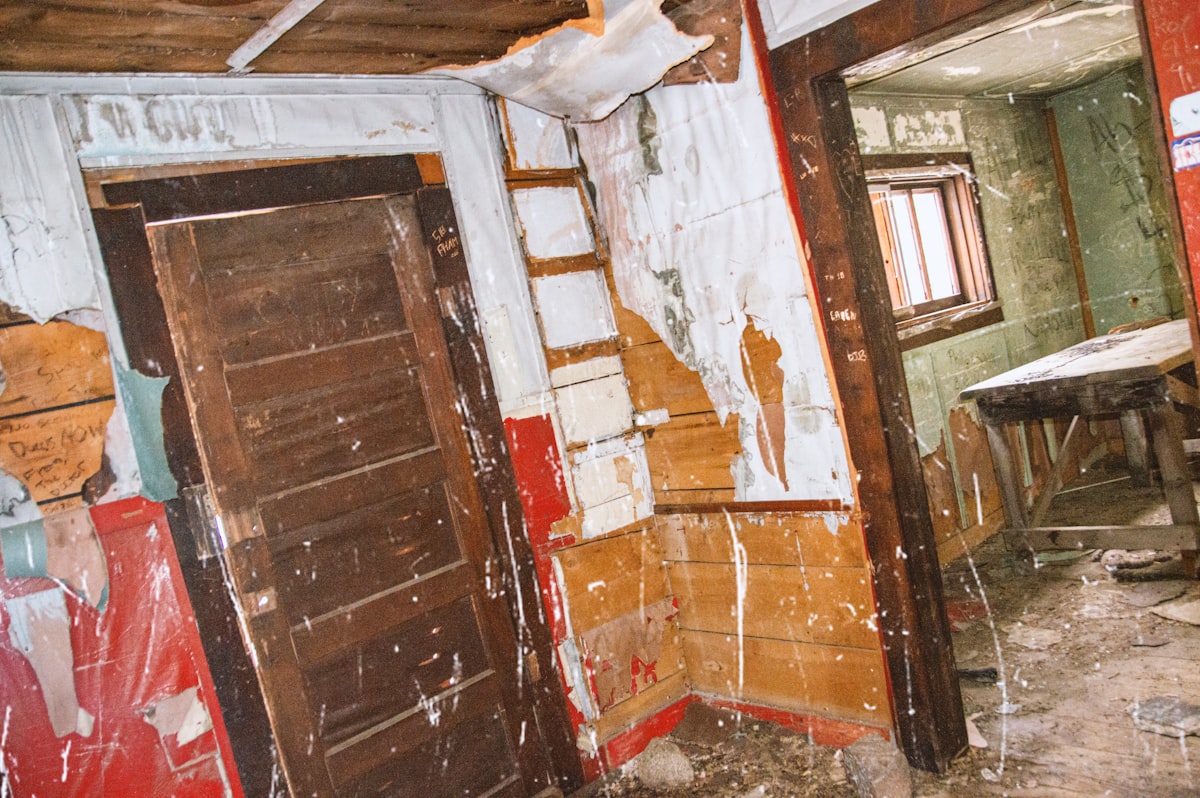 Mold Remediation service in Peoria, IL